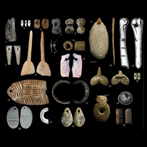 A selection of beads dating to the Gravettian period in Europe. (Image credit: J. Baker, et al)

